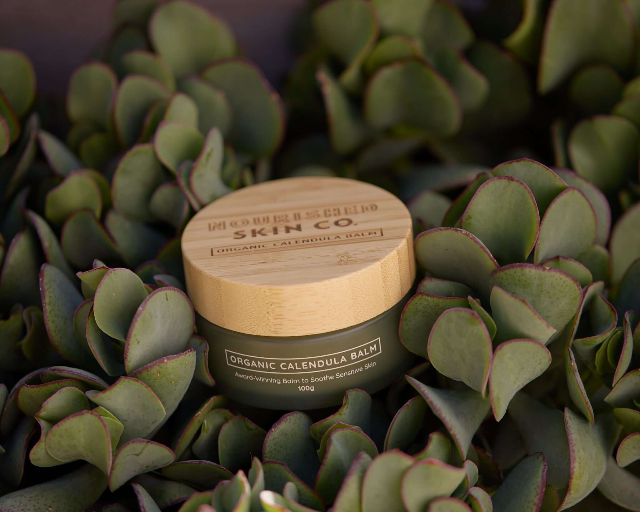 Healing Calendula Products