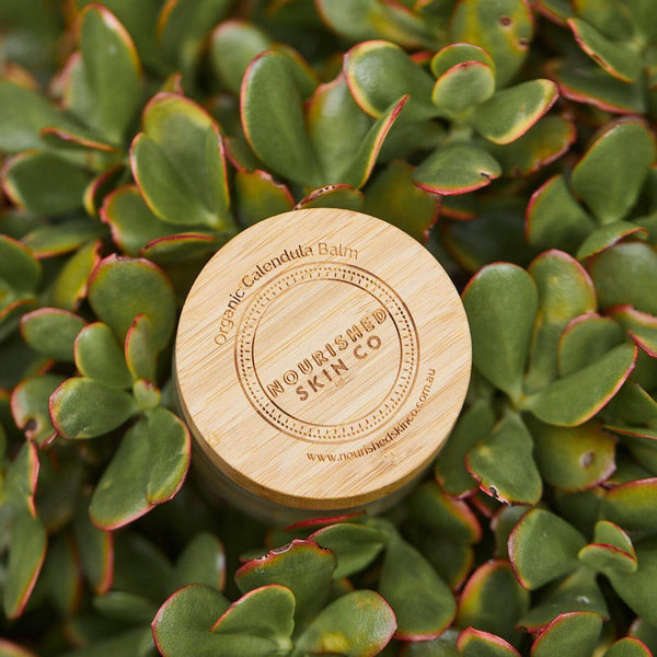 The Power of Plant Oils & Butters in Natural Skincare