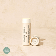 Load image into Gallery viewer, Nourishing Vanilla Coconut Lip Balm

